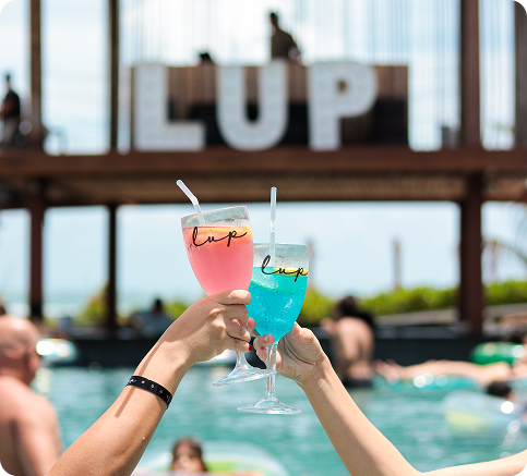 Lup Party - Celebração