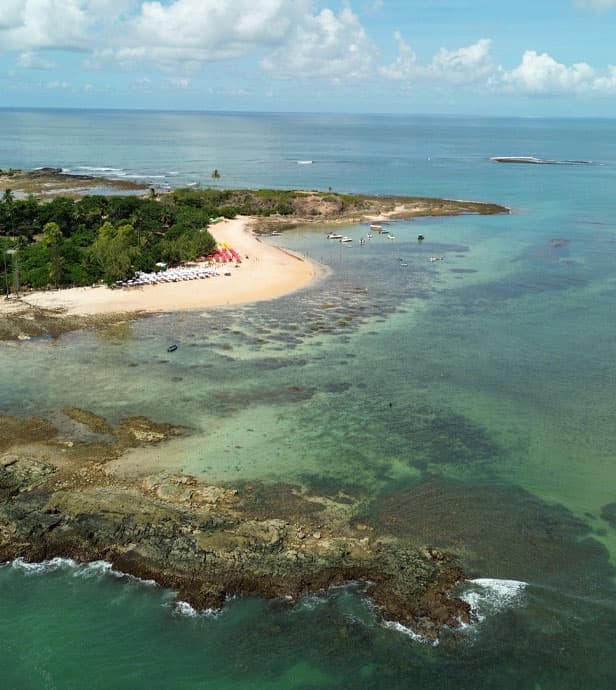 Ilha de Santo Aleixo - Imagem 1