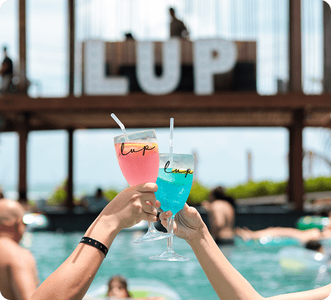 Lup Party - Celebração